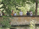 Neckartal_5