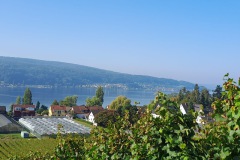 bodensee_5_20240927_2001302407