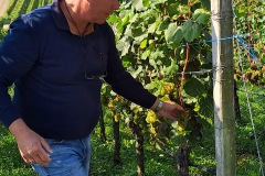 bodensee_7_20240927_1196615430