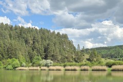 Linsen-2