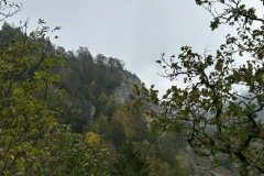 donautal_3_20241016_1639237209