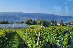bodensee_10_20240927_1559037546