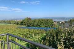 bodensee_1_20240927_1269644373