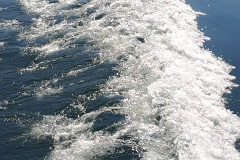 bodensee_3_20240927_1664152273