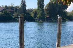 bodensee_3_20240927_2073623772