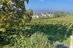 bodensee_8_20240927_1952014840