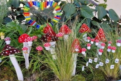 bodensee_9_20240927_1101555095