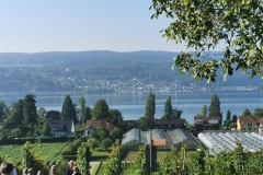 bodensee_9_20240927_1897663340