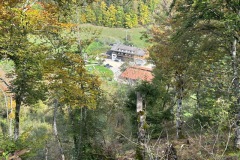 donautal_10_20241016_1451568529