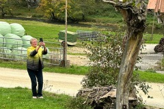 donautal_2_20241016_1236433134