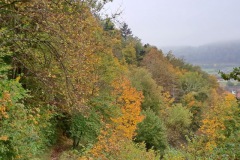 donautal_2_20241016_1447354939