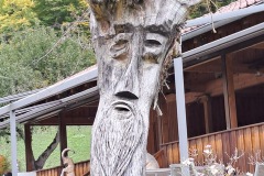 donautal_3_20241016_2029218199