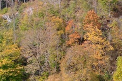 donautal_4_20241016_1573643521