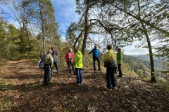 donautal_5_20241016_1674580925