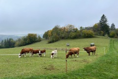 donautal_7_20241016_1506845950