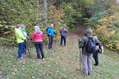 donautal_7_20241016_2013097490