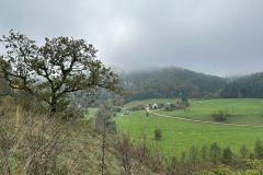 donautal_8_20241016_1827446045