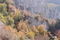 donautal_9_20241016_1666703555