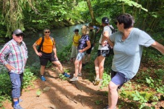 neckartal_10_20250619_1977218039