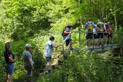 neckartal_1_20250619_1780594117