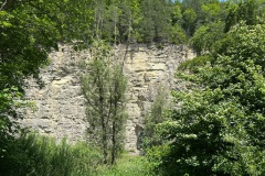 neckartal_2_20250619_1840063311