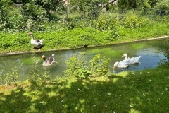 neckartal_3_20250619_1434017946