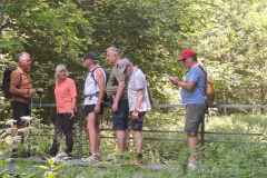 neckartal_3_20250619_1582997880