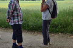 neckartal_3_20250619_1996781871