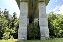 neckartal_5_20250619_1119755766