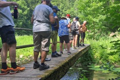 neckartal_7_20250619_1123021465