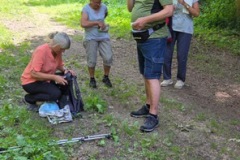 neckartal_7_20250619_1131662799