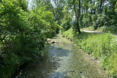 neckartal_7_20250619_1458332346