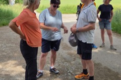 neckartal_7_20250619_1913638365