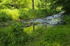 neckartal_8_20250619_2069796467