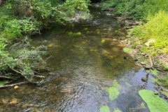 neckartal_9_20250619_1551935423